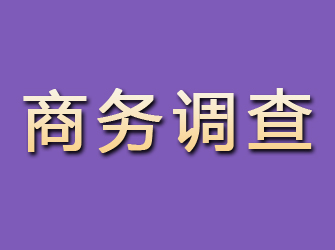 金川商务调查