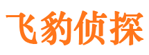 金川市调查公司